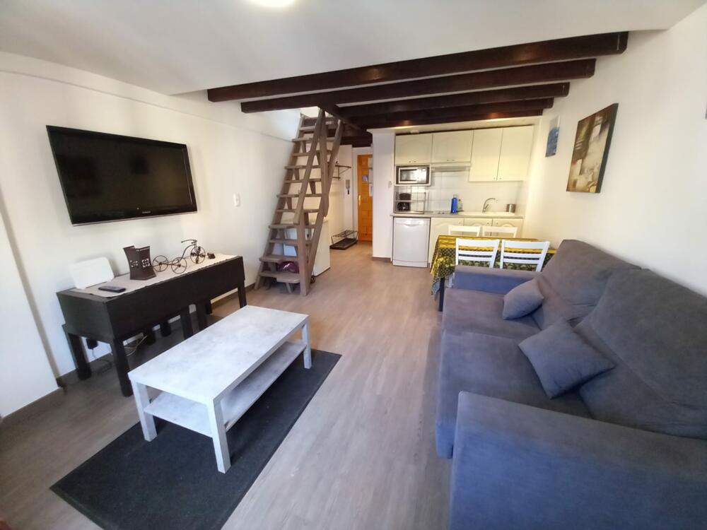 GRIF053 53 Griffon Appartement Pas de la Casa GRIF053 53 Griffon Appartement Pas de la Casa