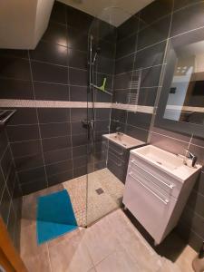 209 Grizzly Studio  Encamp