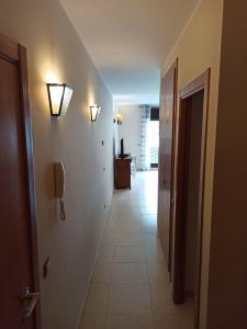 ROSE206 2.6 Rosella Appartement  Canillo