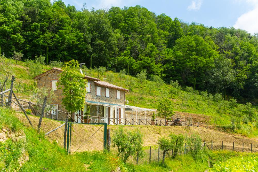 22 Panorama Vrijstaand huis / Villa  Lucca