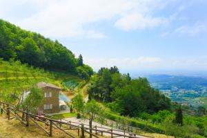 22 Panorama Detached house / Villa  Lucca