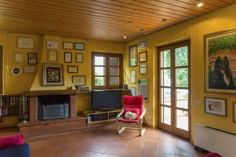 15 Villa Steffy Detached house / Villa Lucca 15 Villa Steffy Detached house / Villa Lucca