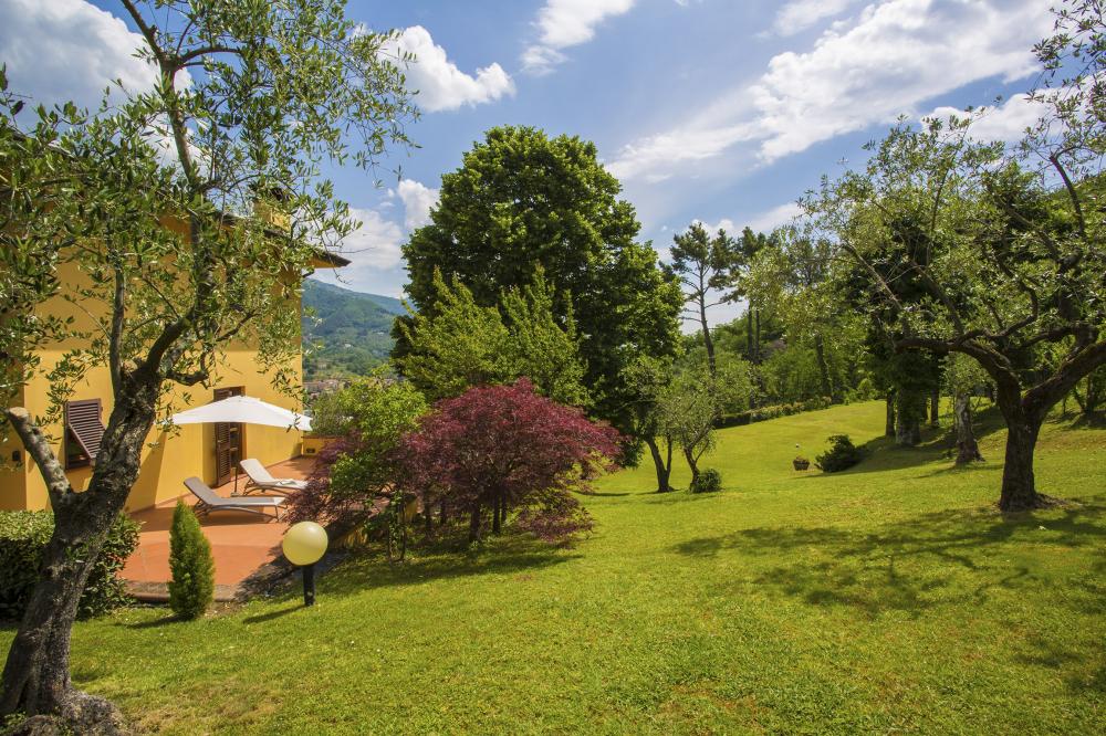 15 Villa Steffy Detached house / Villa Lucca 15 Villa Steffy Detached house / Villa Lucca