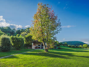 TH001 Sunrise Detached house / Villa Lucca Lucca