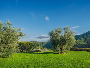 TH001 Sunrise Detached house / Villa Lucca Lucca