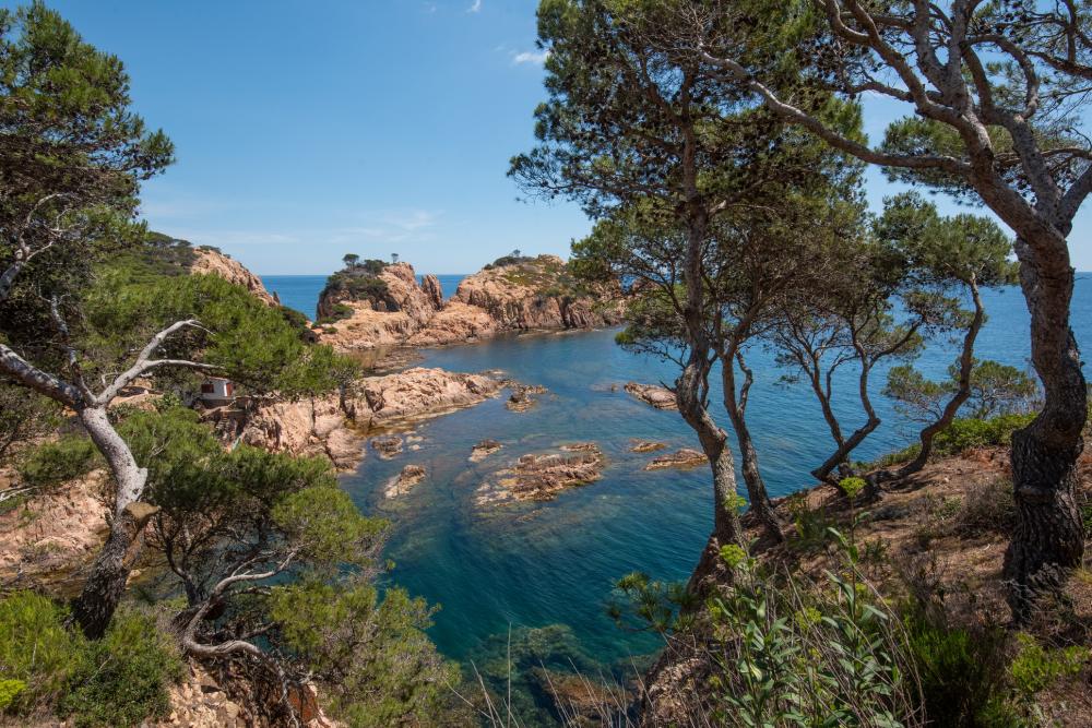 7010 Casa Cala Nostra Semi-detached house Tamariu 7010 Casa Cala Nostra Semi-detached house Tamariu