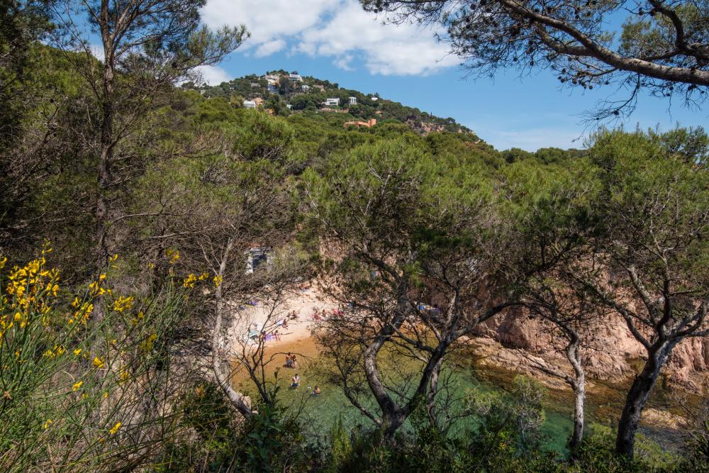 7010 Casa Cala Nostra Semi-detached house Tamariu 7010 Casa Cala Nostra Semi-detached house Tamariu