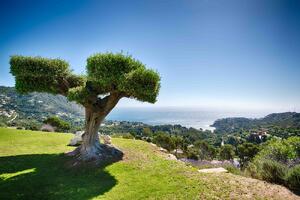 152 Villa Montcal Vrijstaand huis / Villa Costa Brava Begur