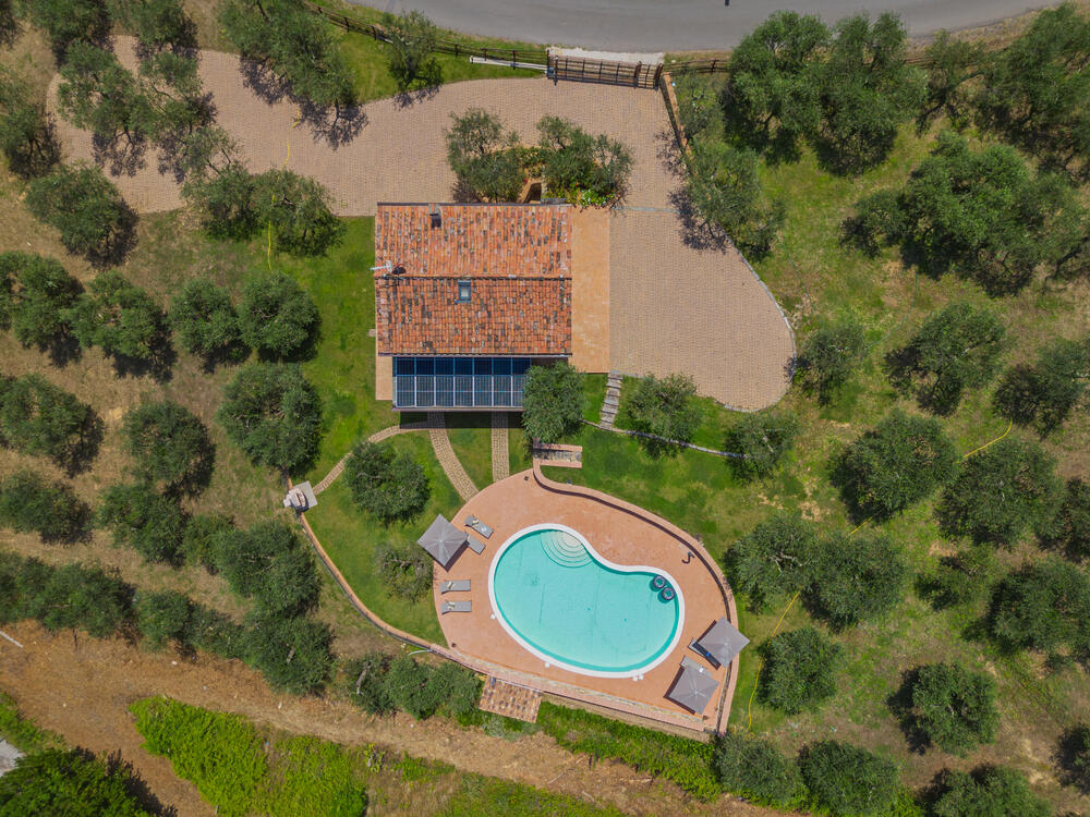 TH009 Casa degli Olivi di Dante Detached house / Villa Pisa TH009 Casa degli Olivi di Dante Detached house / Villa Pisa