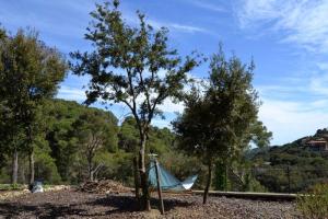 DB-075 Villa Iolanda de Cruilles Detached house / Villa  Begur