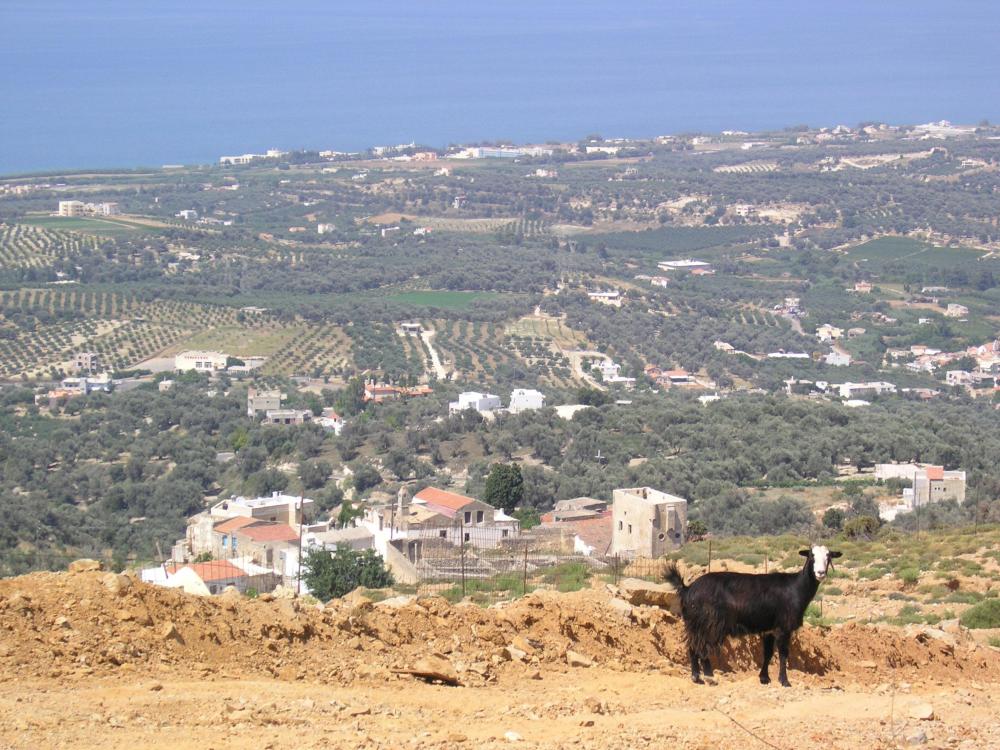 EGT-003 Villa Maroulas Vrijstaand huis / Villa Kreta Maroulas