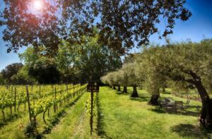 Palamos-101 Mas Pages Appartement Costa Brava Palamós