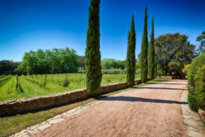 Palamos-101 Mas Pages Appartement Costa Brava Palamós