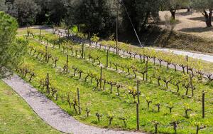 CMT-2157 Mas Rupia Villa privée / Villa Costa Brava Rupià