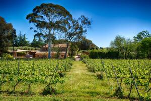 Palamos-103 Mas Pages - Apt. 2 Apartment  Palamós