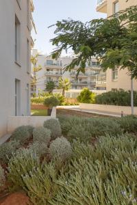 D-00014 MARINA REAL II G C Apartamento  Dénia