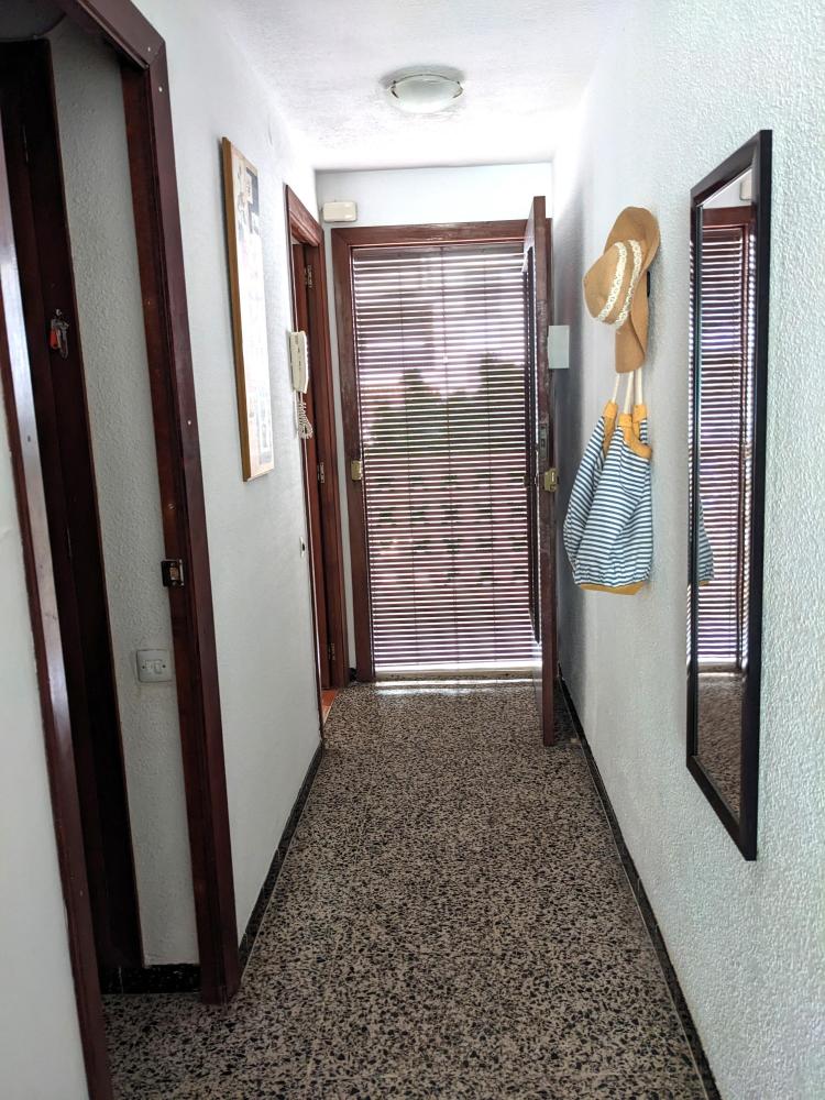207 Semiramis III pta 8 Apartamento  Daimús