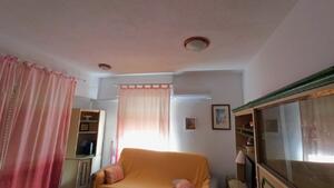206 Semiramis III pta 1 ( ACC)  Apartamento  Daimús