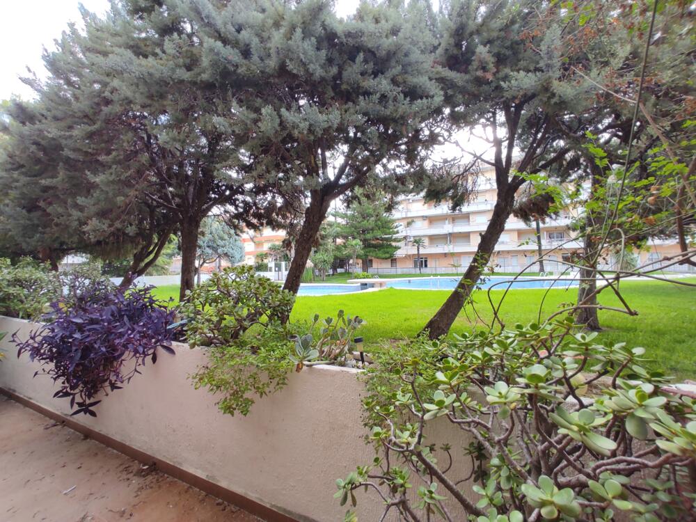 314 Semiramis VII E-3 1 Apartamento  Daimús