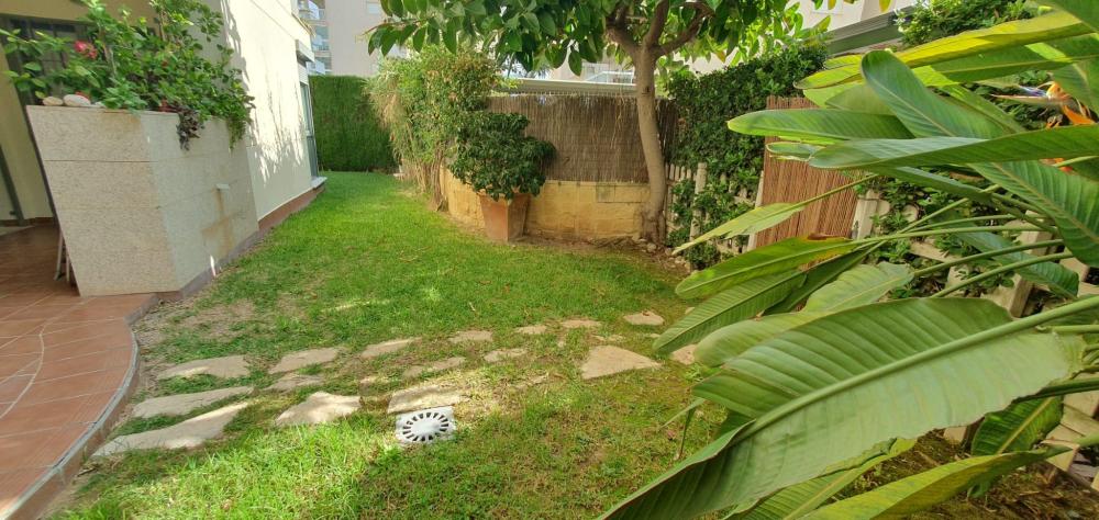 93 San Luís E-5 bajo 55 Apartamento  Daimús