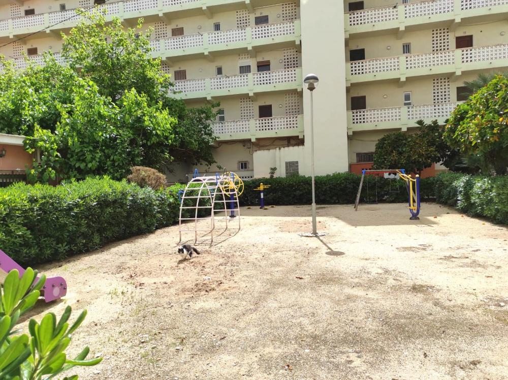 63 Semiramis V pta 42 Apartamento  Daimús
