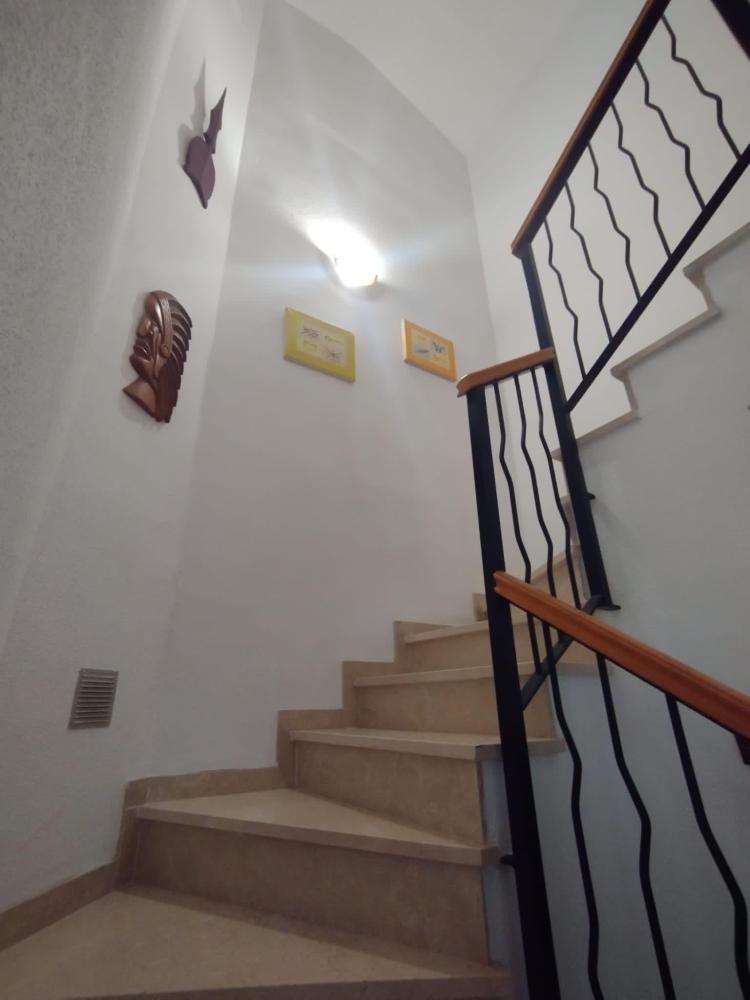 534 Los Sauces 21 Apartamento  Daimús