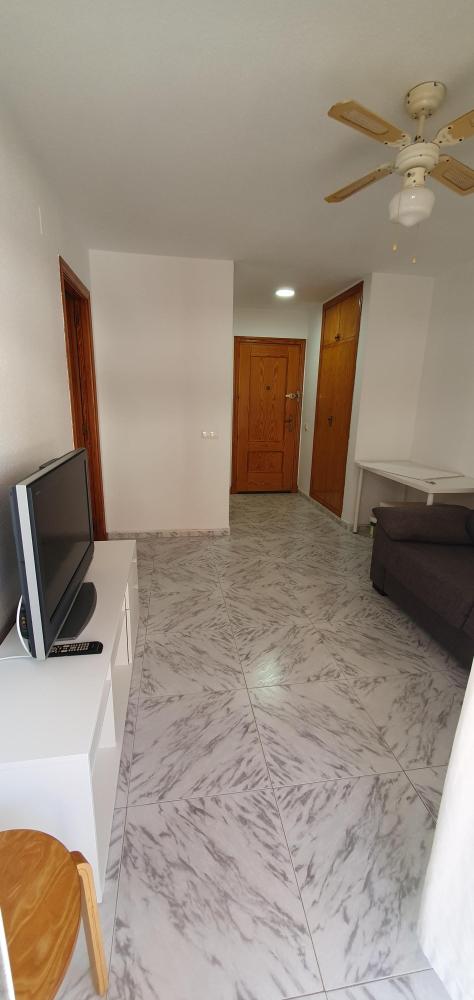 Bellamar III  Bellamar III 4-D pta 26 Apartamento  Daimús
