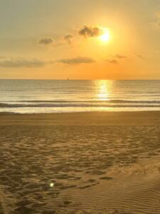 Chalet  Chalet Embates del Mar Casa / Chalet  Playa de daimus