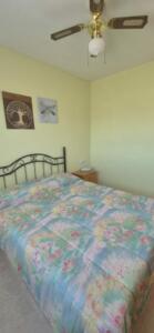 Pedregales Pedregales Apartamento  daimus