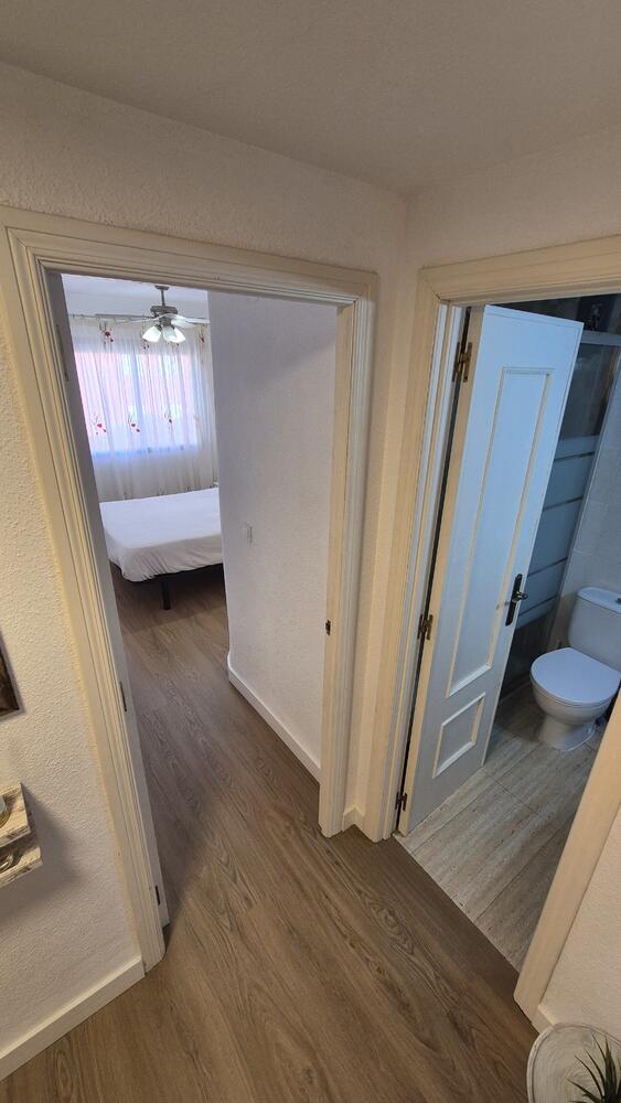 Bellamar I pta B BLL 1 E-A 5 -B ( ACC) Apartamento  Daimús