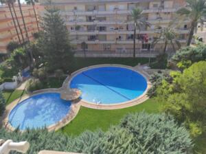 Semiramis VIII 4 14  Semiramis VIII 4 14 Apartamento  Daimús