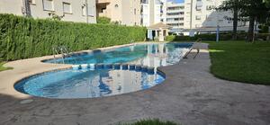 Palmeras III 3B Palmeras III E1 3B Apartment  Daimús