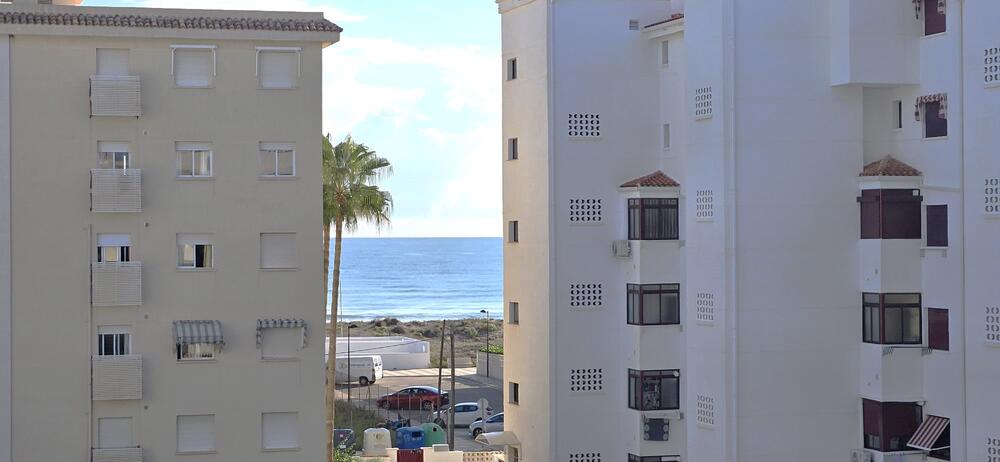 Palmeras III 3B Palmeras III E1 3B Apartamento  Daimús