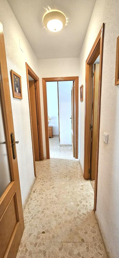 Palmeras III 3B Palmeras III E1 3B Apartamento  Daimús