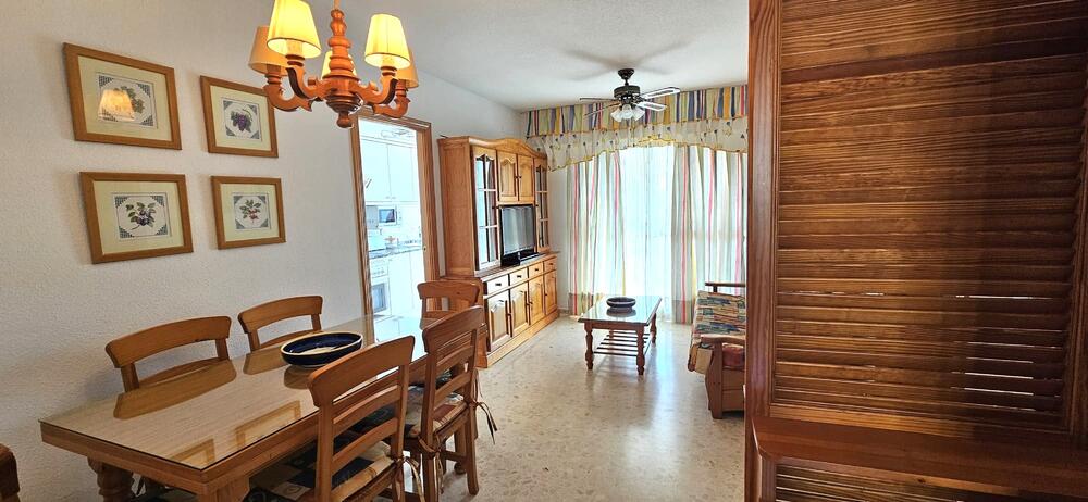 Palmeras III 3B Palmeras III E1 3B Apartamento  Daimús