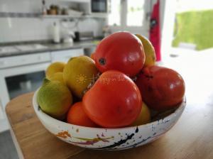 V032 Lilas Einzelhaus / Villa  Poblets (els)