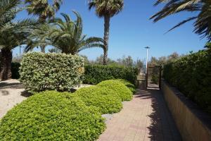 A033 Estrella del Mar II Apartment  Dénia