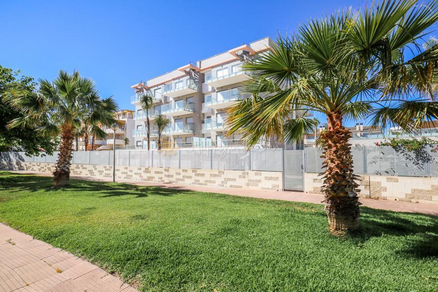 A038 Las Dunas Apartamento  Oliva