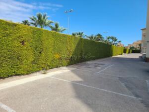 A041 Golf y Mar Apartment  Oliva