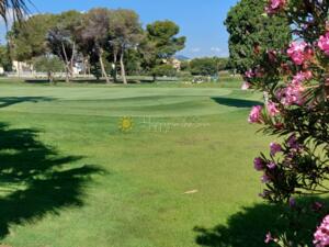 A041 Golf y Mar Apartment  Oliva