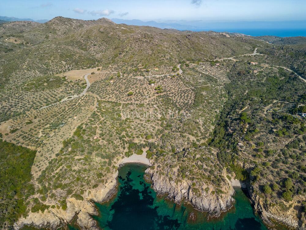 EP-19097-2 Olivar al Paratge de Guillola Rústico  Cadaqués