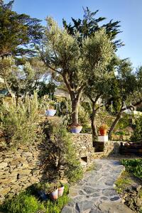 EP-17053 CASA MARAGDA – Eco Finca amb Vistes al mar a Cadaqués Casa rural  Cadaqués