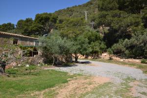 049 Cal Pastor Appartement Costa Brava Estartit (L´)