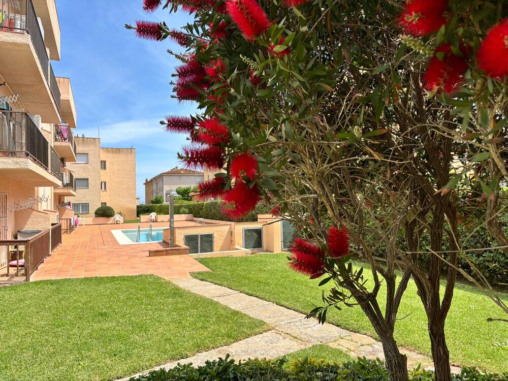 061 Calella 4 Apartment Els Griells Estartit (L´) 061 Calella 4 Apartment Els Griells Estartit (L´)
