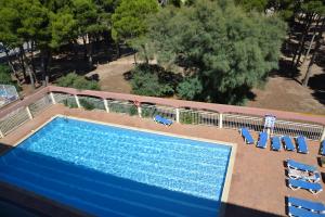 157 Pineda Beach 42 Apartamento Center Estartit (L´)