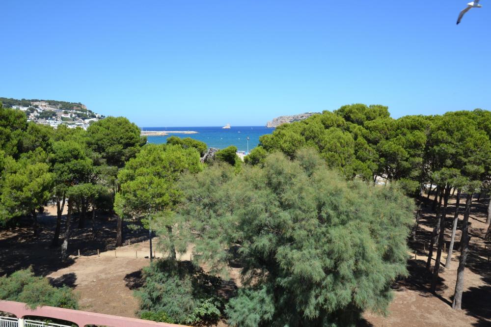 157 Pineda Beach 42 Apartamento Center Estartit (L´) 157 Pineda Beach 42 Apartamento Center Estartit (L´)