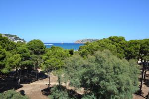 157 Pineda Beach 42 Apartamento Center Estartit (L´)