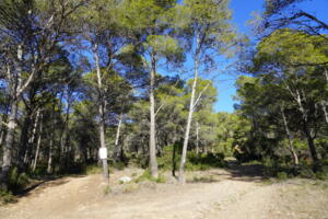 197 Ref 197 Casa aislada / Villa Torre Gran Estartit (L´)