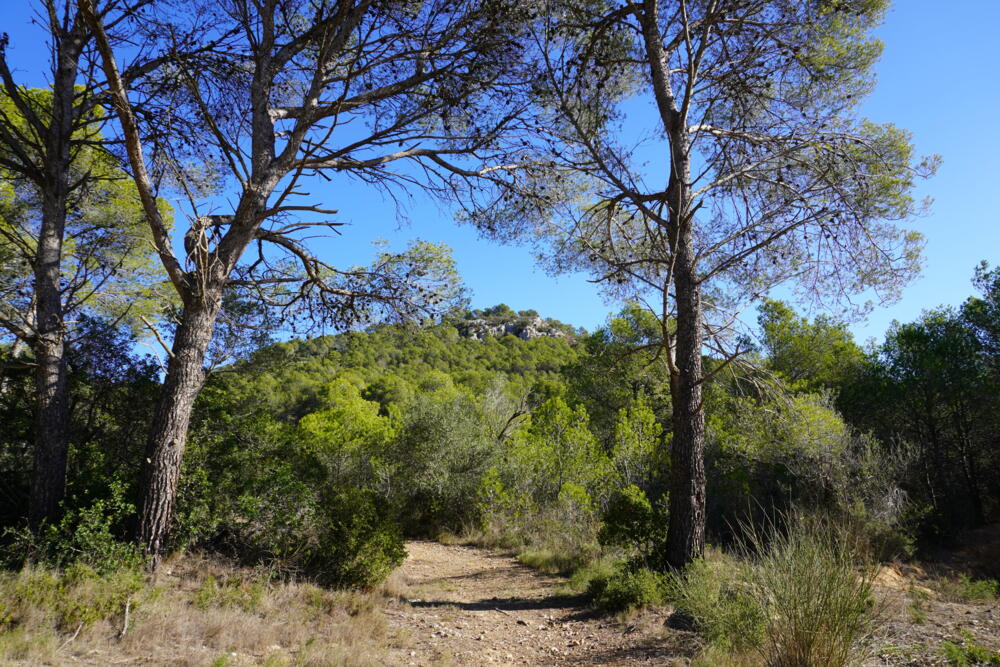 197 Ref 197 Casa aislada / Villa Torre Gran Estartit (L´) 197 Ref 197 Casa aislada / Villa Torre Gran Estartit (L´)