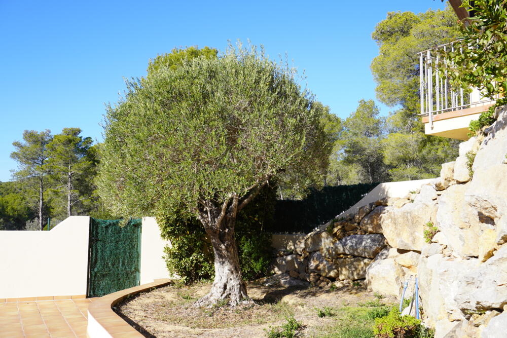 197 Ref 197 Casa aislada / Villa Torre Gran Estartit (L´) 197 Ref 197 Casa aislada / Villa Torre Gran Estartit (L´)